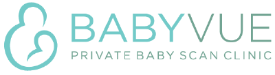 Babyvue logo