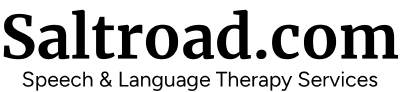 Saltroad logo