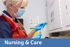 Nursing and Midwifery icon