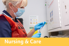 Nursing and Midwifery