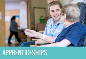 Apprenticeships icon
